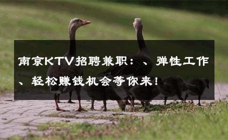 南京KTV招聘兼职：、弹性工作、轻松赚钱机会等你来！