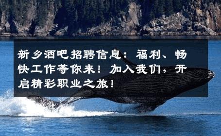 新乡酒吧招聘信息：福利、畅快工作等你来！加入我们，开启精彩职业之旅！