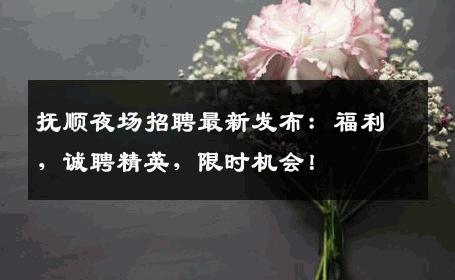 抚顺夜场招聘最新发布：福利，诚聘精英，限时机会！
