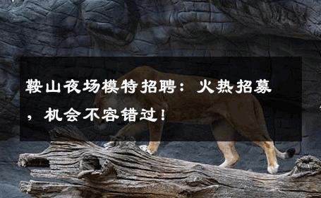 鞍山夜场模特招聘：火热招募，机会不容错过！