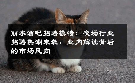 丽水酒吧招聘模特：夜场行业招聘热潮来袭，业内解读背后的市场风向