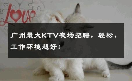 广州最大KTV夜场招聘，轻松，工作环境超好！