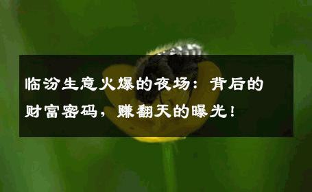 临汾生意火爆的夜场：背后的财富密码，赚翻天的曝光！