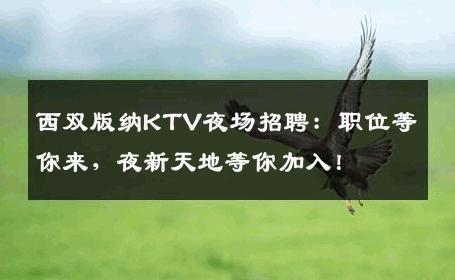 西双版纳KTV夜场招聘：职位等你来，夜新天地等你加入！