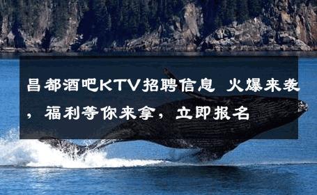 昌都酒吧KTV招聘信息 火爆来袭，福利等你来拿，立即报名