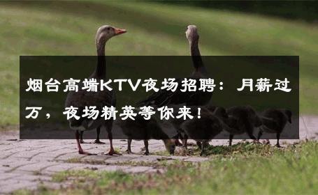 烟台高端KTV夜场招聘：月薪过万，夜场精英等你来！