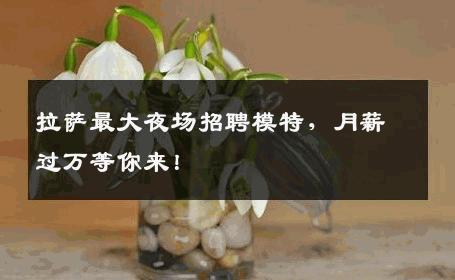 拉萨最大夜场招聘模特，月薪过万等你来！
