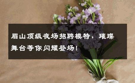 眉山顶级夜场招聘模特，璀璨舞台等你闪耀登场！