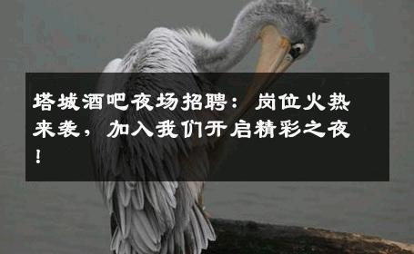 塔城酒吧夜场招聘：岗位火热来袭，加入我们开启精彩之夜！