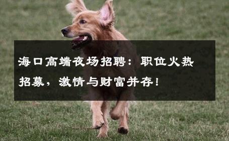 海口高端夜场招聘：职位火热招募，激情与财富并存！