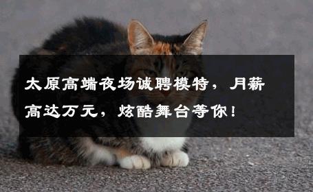 太原高端夜场诚聘模特，月薪高达万元，炫酷舞台等你！