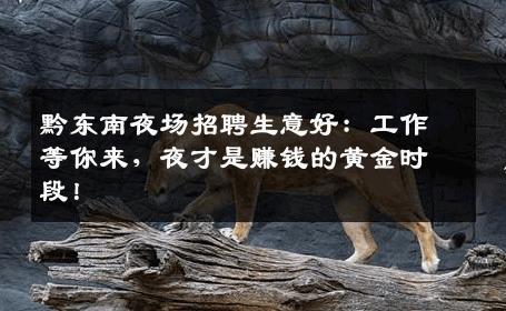 黔东南夜场招聘生意好：工作等你来，夜才是赚钱的黄金时段！