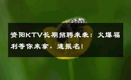 资阳KTV长期招聘来袭：火爆福利等你来拿，速报名！