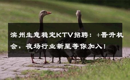 滨州生意稳定KTV招聘：+晋升机会，夜场行业新星等你加入！