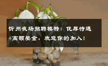 忻州夜场招聘模特：优厚待遇+高额奖金，欢迎你的加入！
