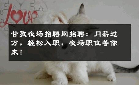 甘孜夜场招聘网招聘：月薪过万，轻松入职，夜场职位等你来！