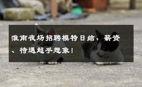 淮南夜场招聘模特日结，薪资、待遇超乎想象！