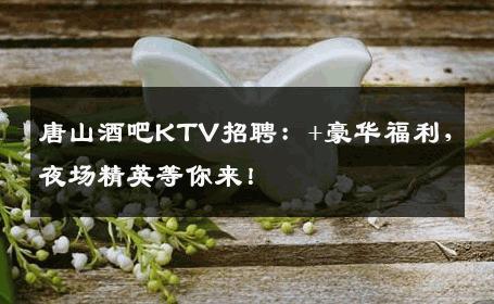 唐山酒吧KTV招聘：+豪华福利，夜场精英等你来！
