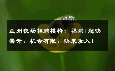 兰州夜场招聘模特：福利+超快晋升，机会有限，快来加入！