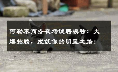 阿勒泰商务夜场诚聘模特：火爆招聘，成就你的明星之路！