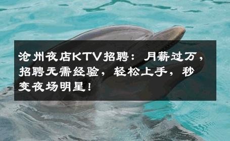 沧州夜店KTV招聘：月薪过万，招聘无需经验，轻松上手，秒变夜场明星！