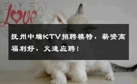 抚州中端KTV招聘模特，薪资高福利好，火速应聘！