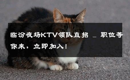 临汾夜场KTV领队直招 _ 职位等你来，立即加入！
