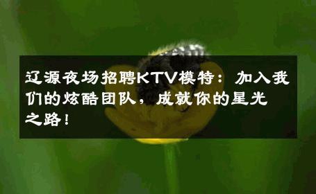 辽源夜场招聘KTV模特：加入我们的炫酷团队，成就你的星光之路！