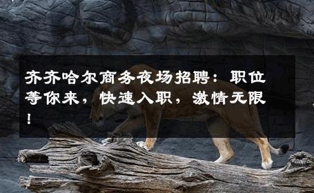 齐齐哈尔商务夜场招聘：职位等你来，快速入职，激情无限！