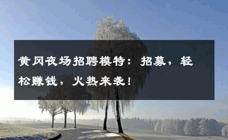黄冈夜场招聘模特：招募，轻松赚钱，火热来袭！
