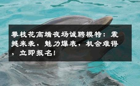 攀枝花高端夜场诚聘模特：震撼来袭，魅力爆表，机会难得，立即报名！