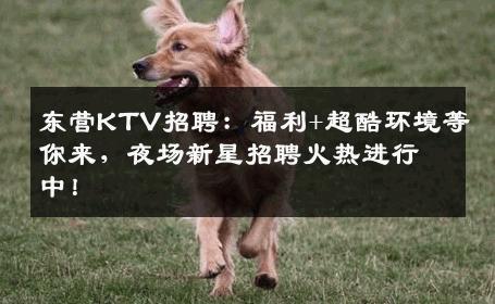 东营KTV招聘：福利+超酷环境等你来，夜场新星招聘火热进行中！