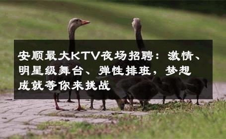安顺最大KTV夜场招聘：激情、明星级舞台、弹性排班，梦想成就等你来挑战