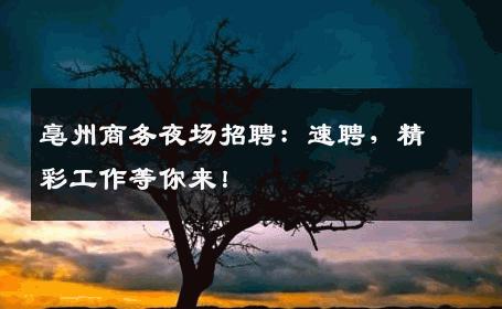 亳州商务夜场招聘：速聘，精彩工作等你来！