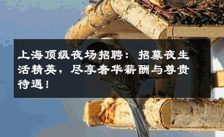 上海顶级夜场招聘：招募夜生活精英，尽享奢华薪酬与尊贵待遇！