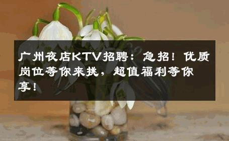 广州夜店KTV招聘：急招！优质岗位等你来挑，超值福利等你享！