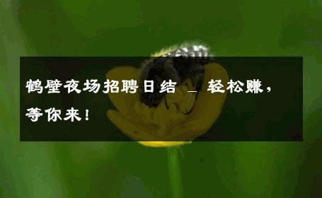 鹤壁夜场招聘日结 _ 轻松赚，等你来！