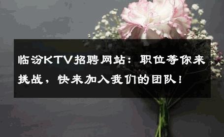 临汾KTV招聘网站：职位等你来挑战，快来加入我们的团队！