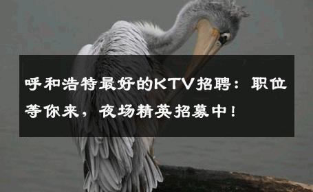 呼和浩特最好的KTV招聘：职位等你来，夜场精英招募中！