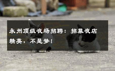 永州顶级夜场招聘：招募夜店精英，不是梦！