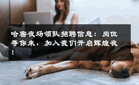 哈密夜场领队招聘信息：岗位等你来，加入我们开启辉煌夜！