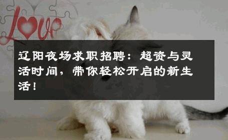 辽阳夜场求职招聘：超资与灵活时间，带你轻松开启的新生活！