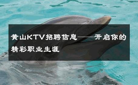 黄山KTV招聘信息——开启你的精彩职业生涯