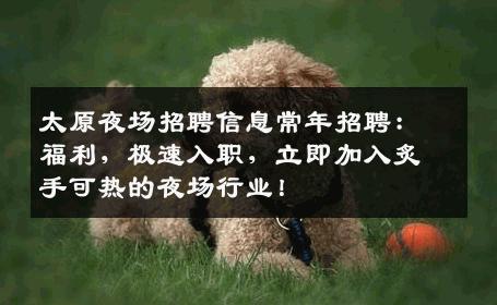 太原夜场招聘信息常年招聘：福利，极速入职，立即加入炙手可热的夜场行业！