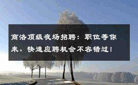 商洛顶级夜场招聘：职位等你来，快速应聘机会不容错过！