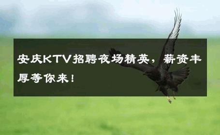 安庆KTV招聘夜场精英，薪资丰厚等你来！