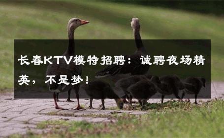 长春KTV模特招聘：诚聘夜场精英，不是梦！