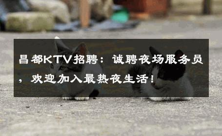 昌都KTV招聘：诚聘夜场服务员，欢迎加入最热夜生活！