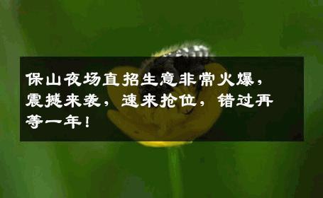 保山夜场直招生意非常火爆，震撼来袭，速来抢位，错过再等一年！
