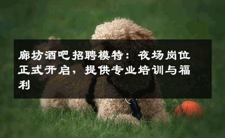 廊坊酒吧招聘模特：夜场岗位正式开启，提供专业培训与福利